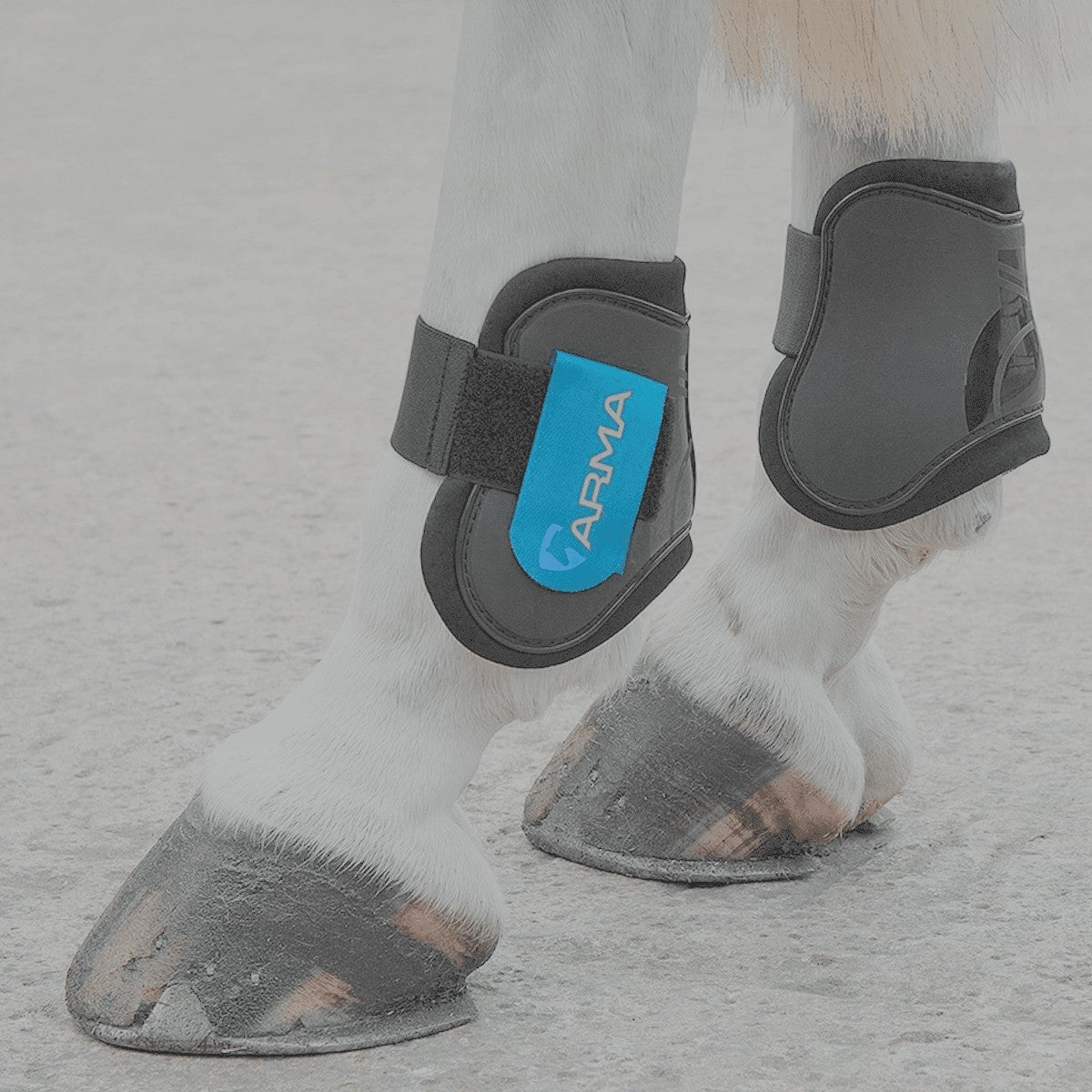 4-121918.jpg