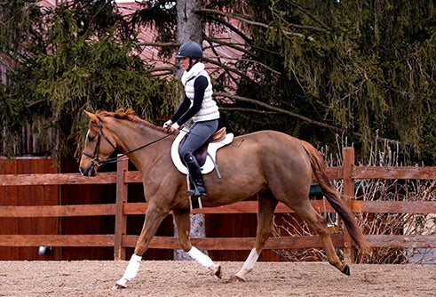 4-270648-b.jpg
