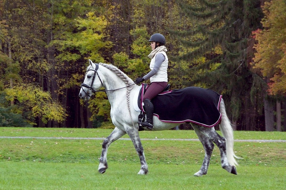 4-270804.jpg