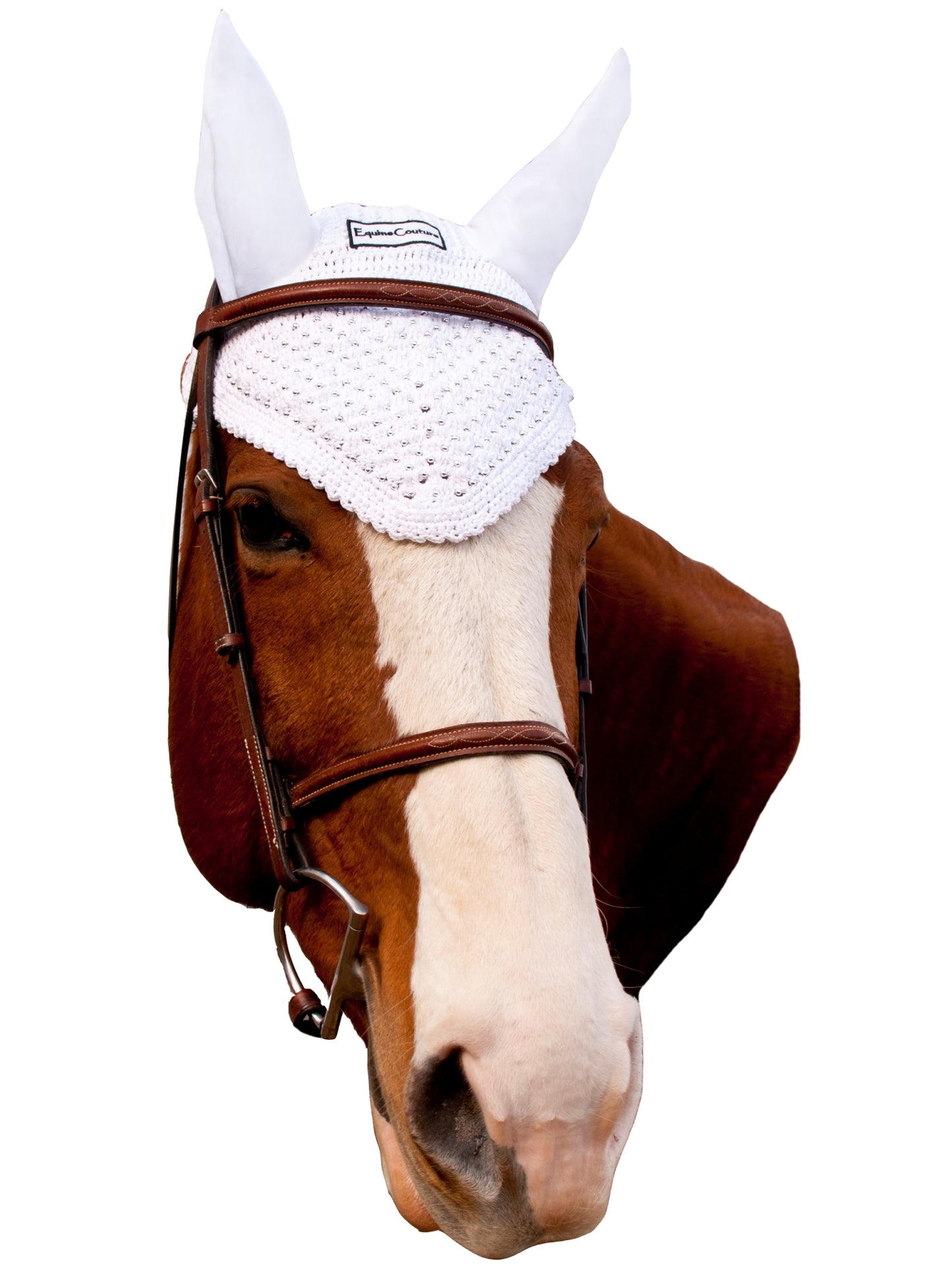 5-888692-white.jpg