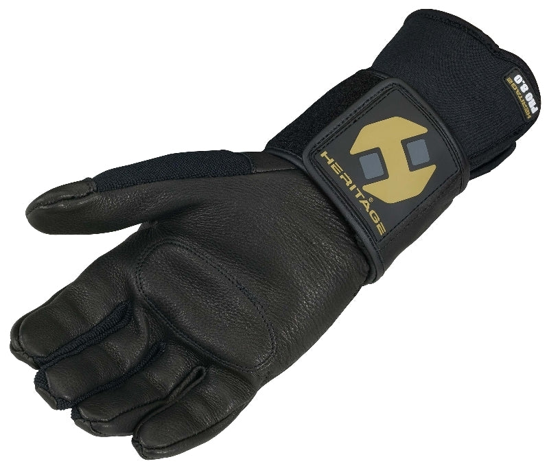 hg331rpalm.jpg