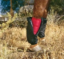 pc-bootcover_smc.jpg