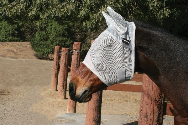 pc-eq_flymask_we.jpg