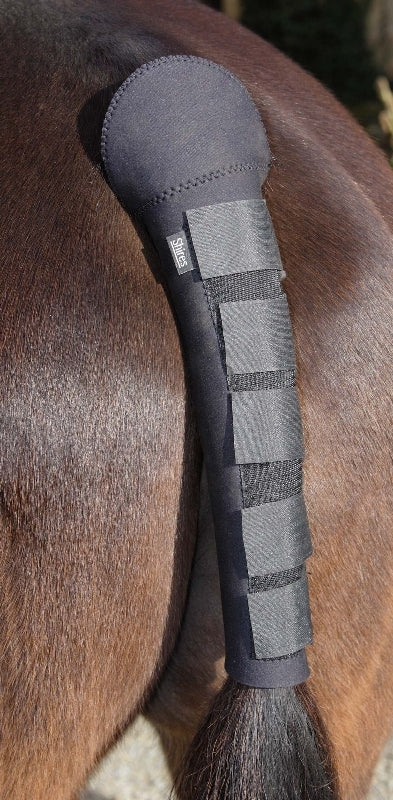 shires-9399.jpg