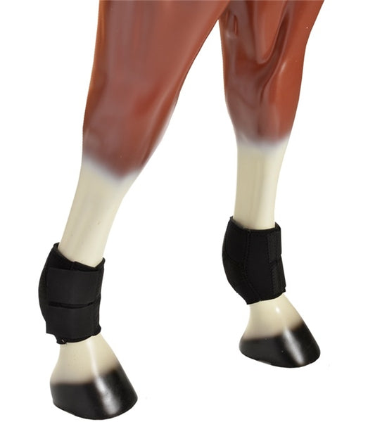 4-211420.jpg