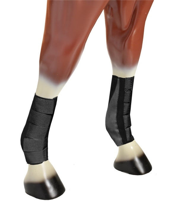 4-211421.jpg