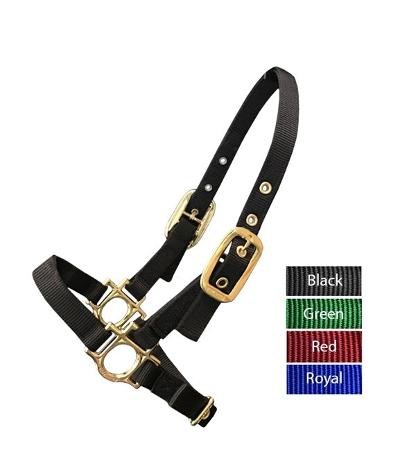4-215690.jpg