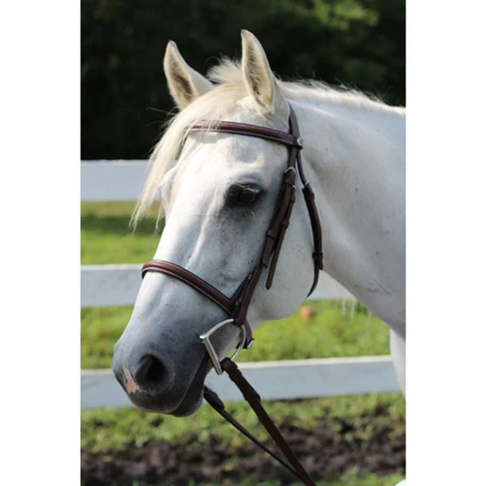 4-217074-02O.jpg