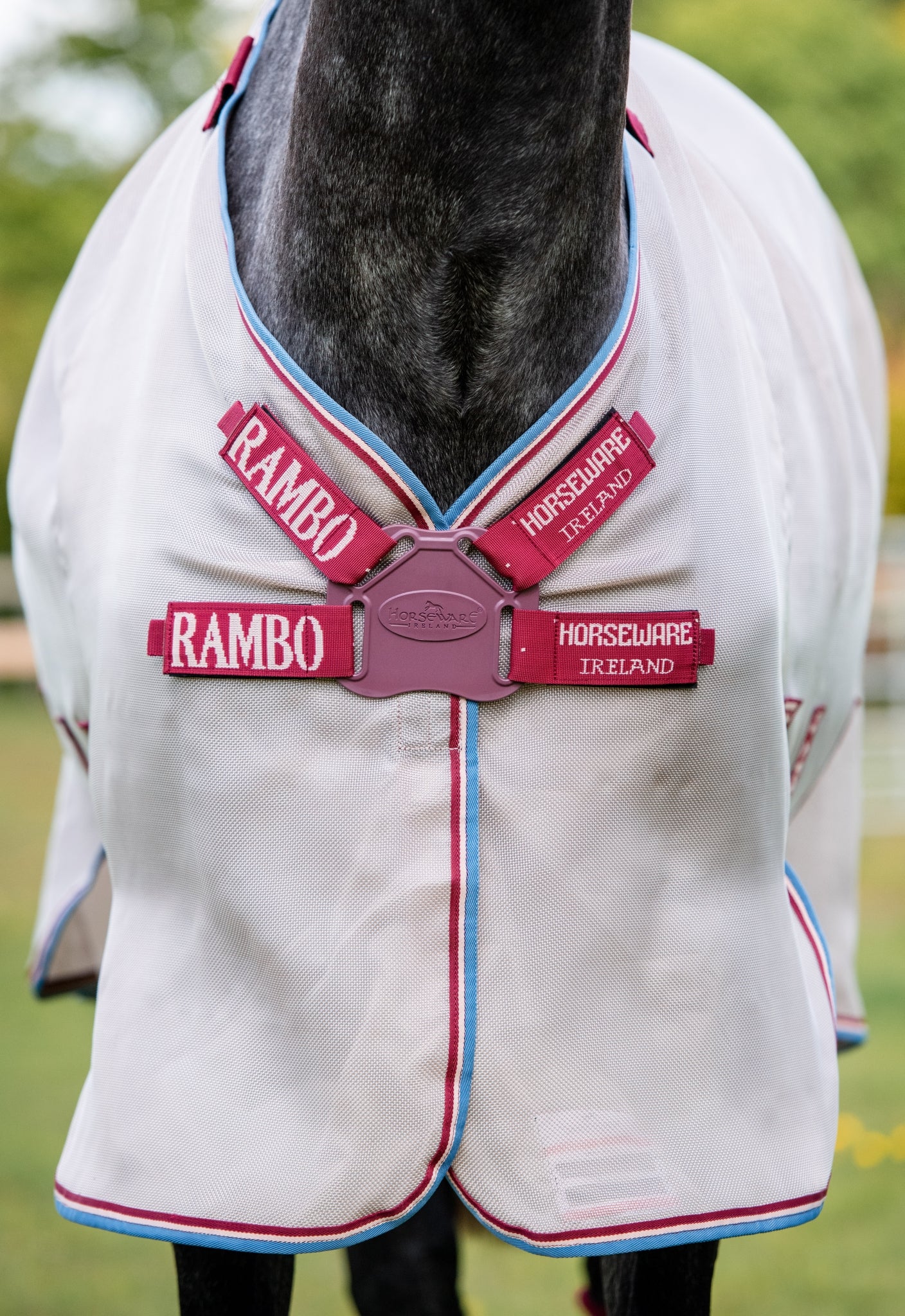 4-295797-b.jpg