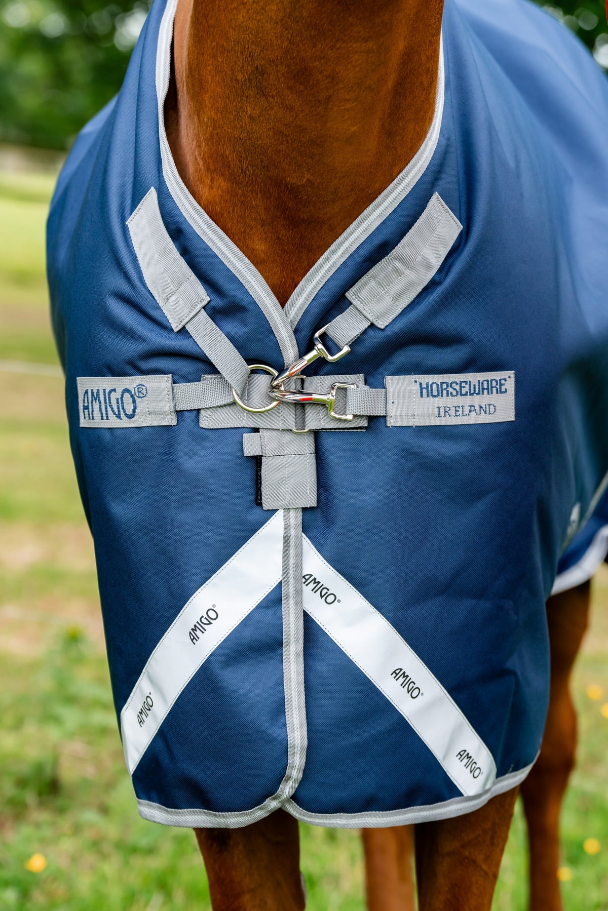 4-426034-b.jpg