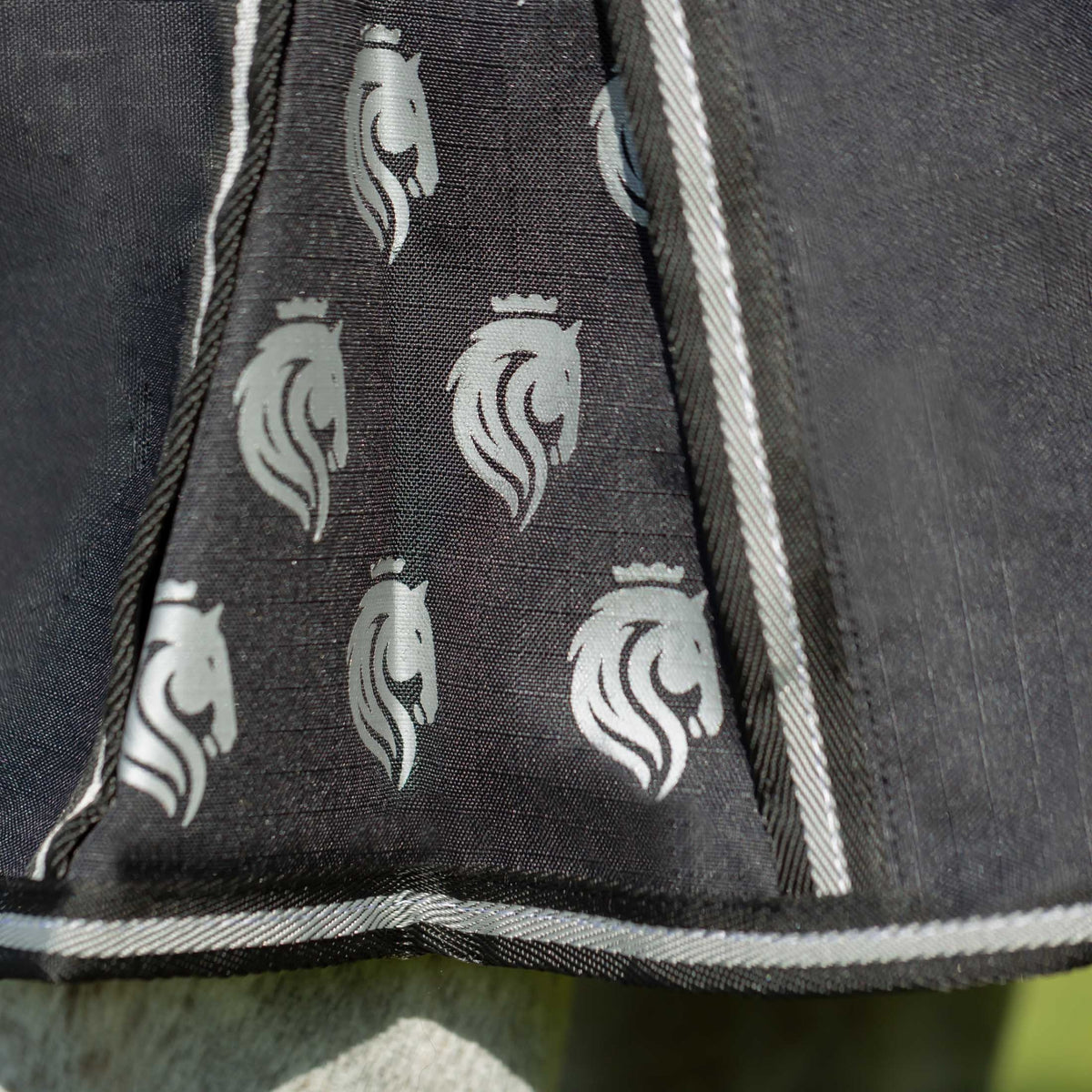 4-442625-c.jpg
