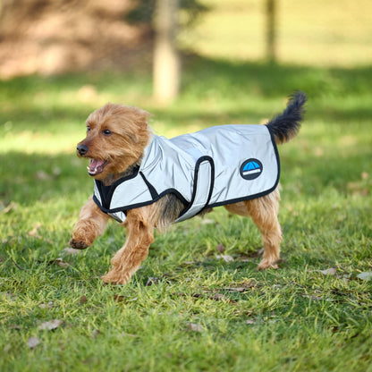 4-472087-03.jpg