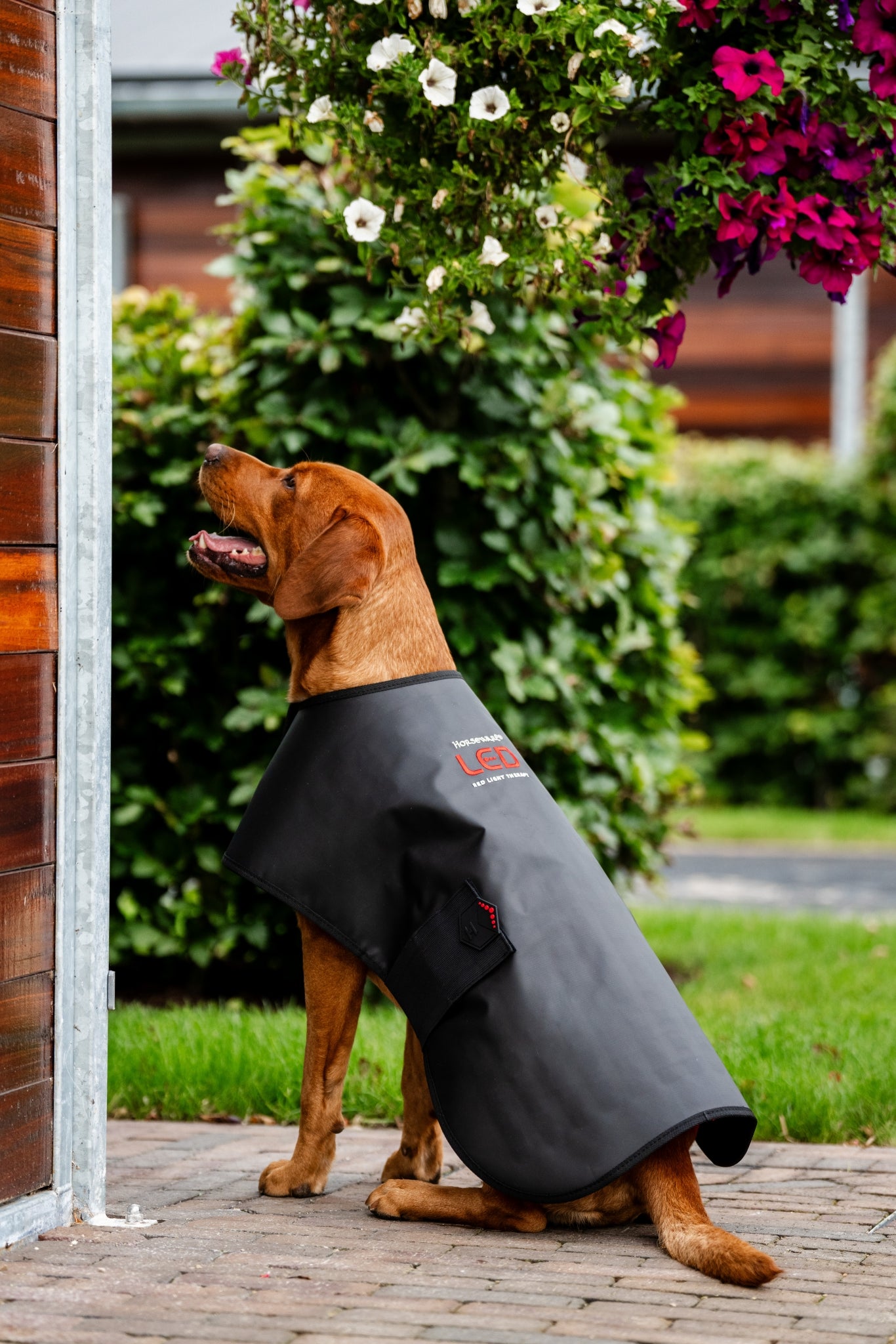 4-511137.jpg