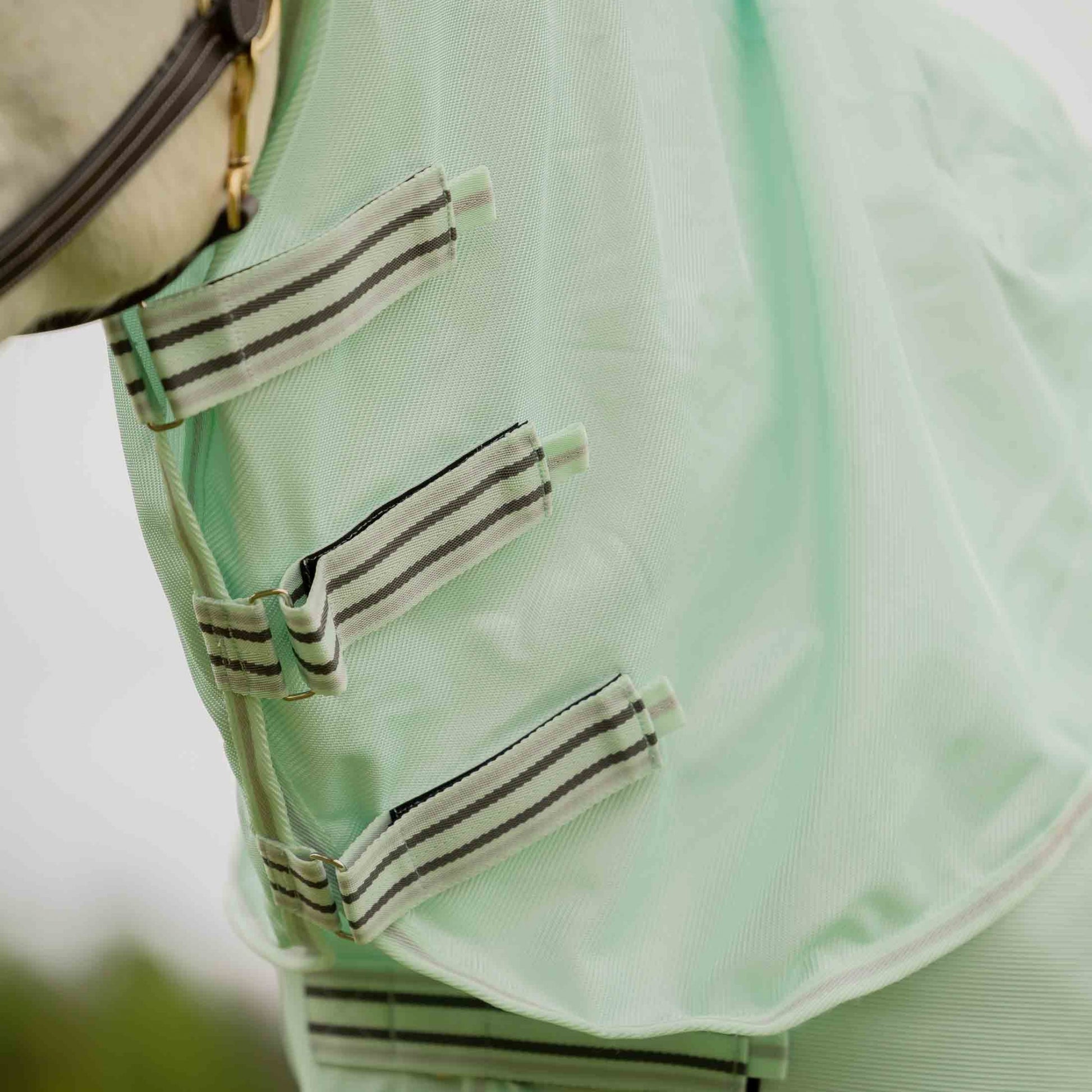 4-514701-2.jpg