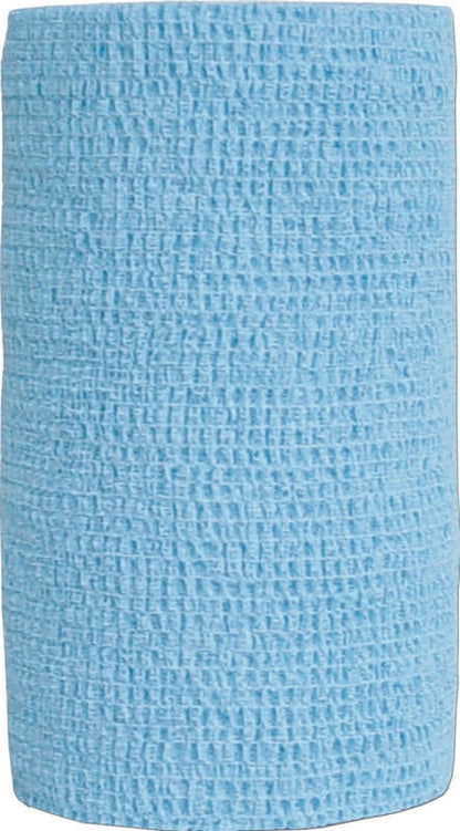 5-108909.jpg
