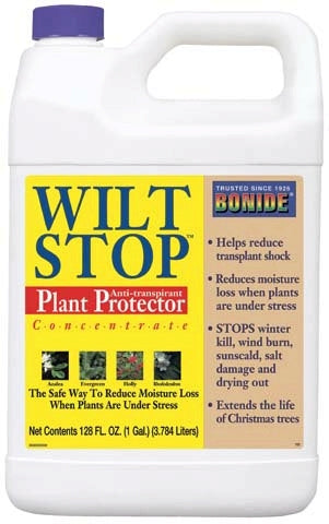 5-199196.jpg