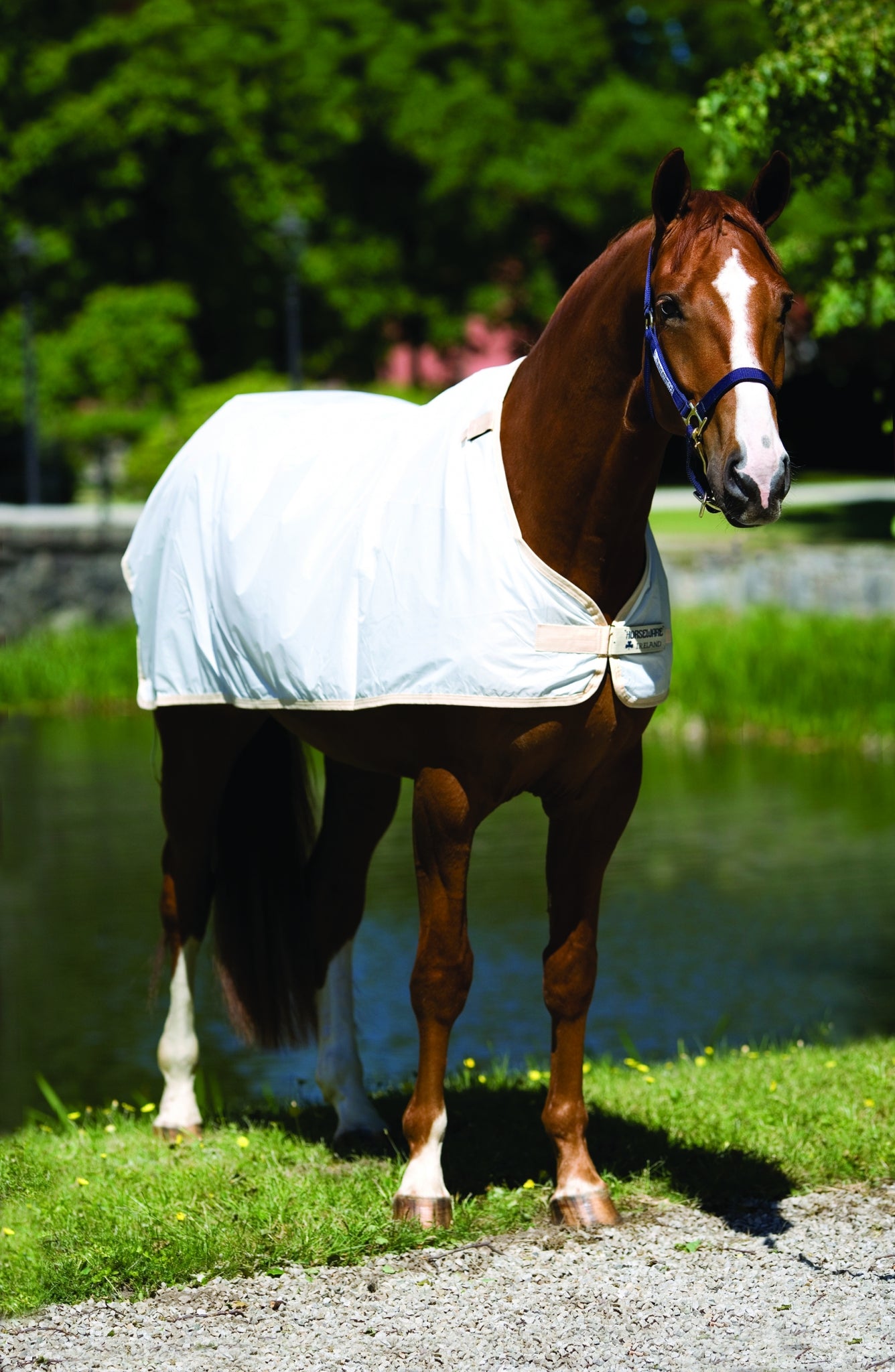 5-248501-white.jpg