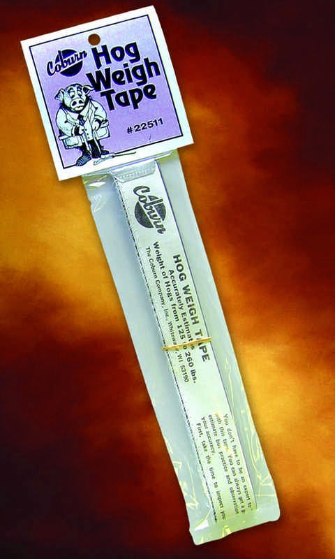 5-257008.jpg