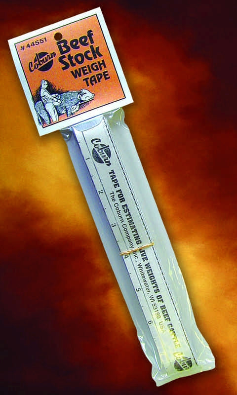 5-257010.jpg