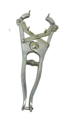 5-257777.jpg