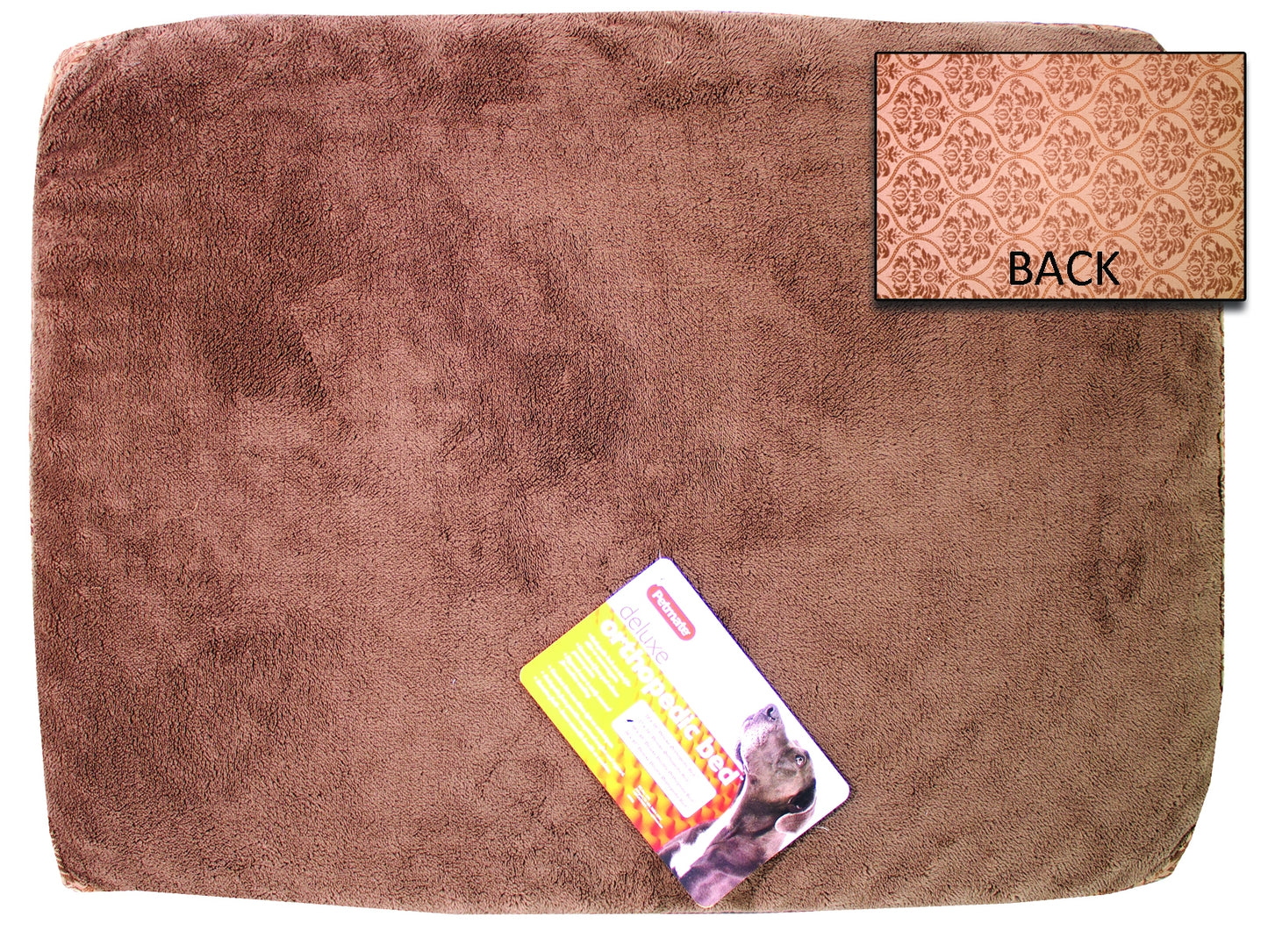 5-454579.jpg