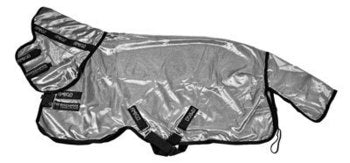 5-544223.jpg