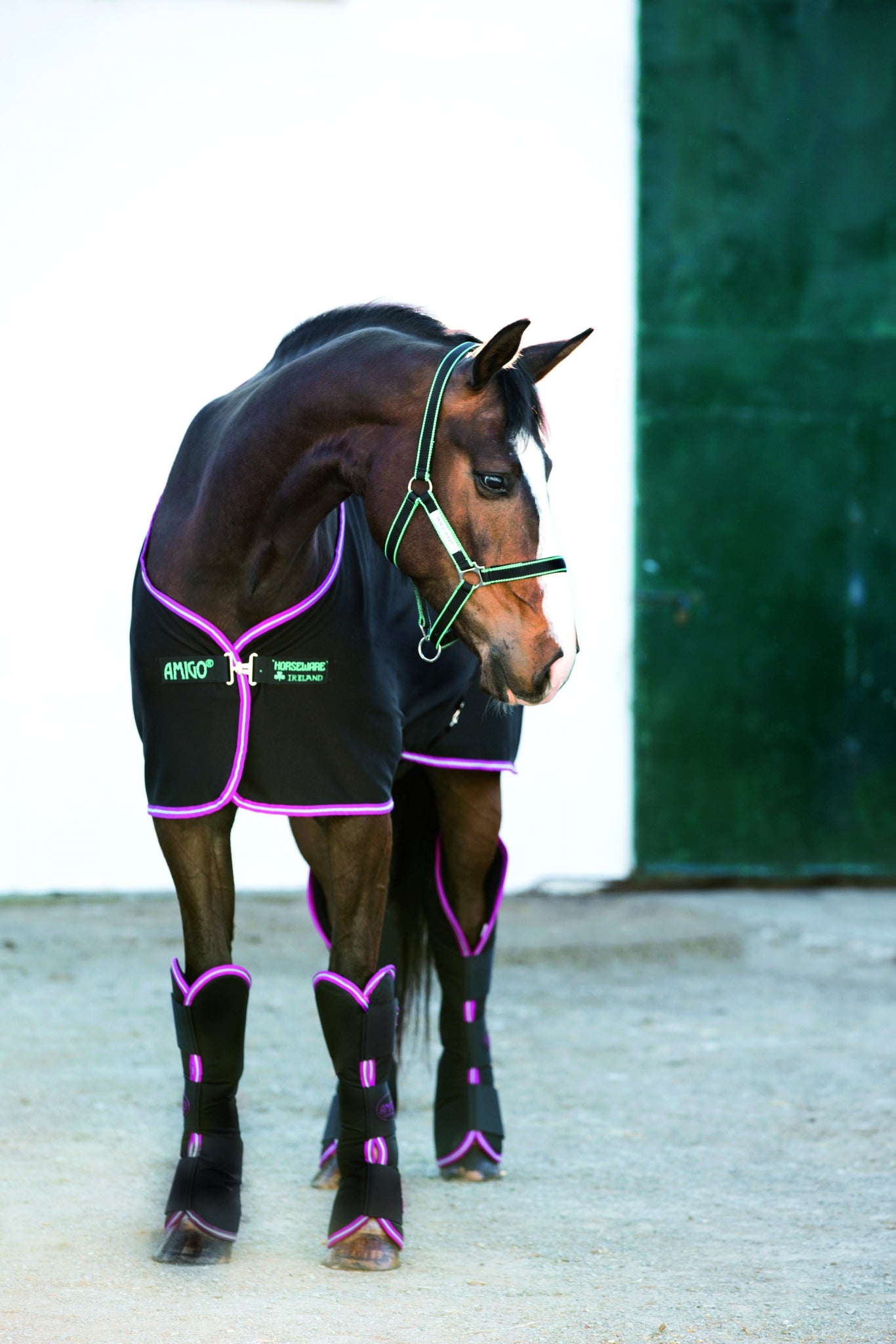 5-658298-blackpurplemint.jpg