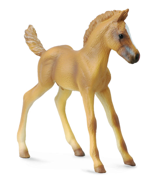 5-800728.jpg