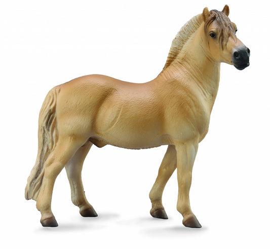 5-800747.jpg