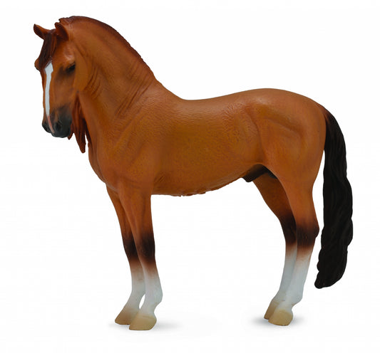 5-800780.jpg