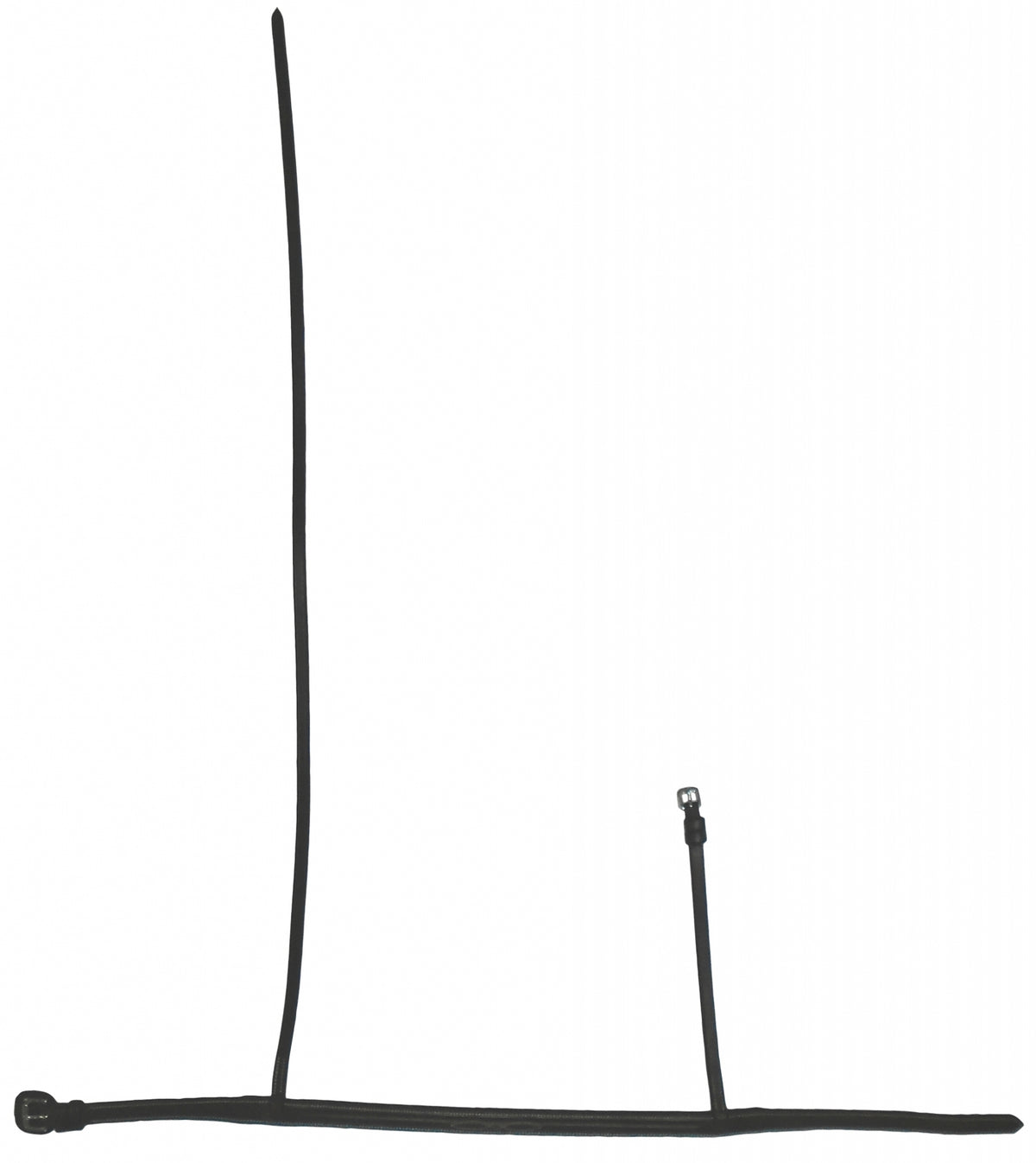 5-807581.jpg