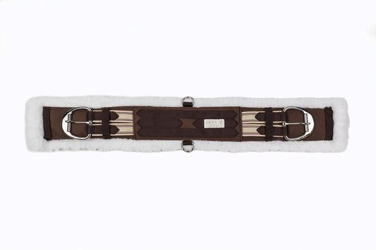 5-818581.jpg