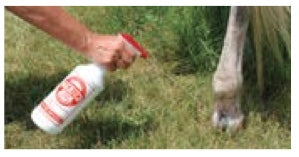 5-822621-1.jpg