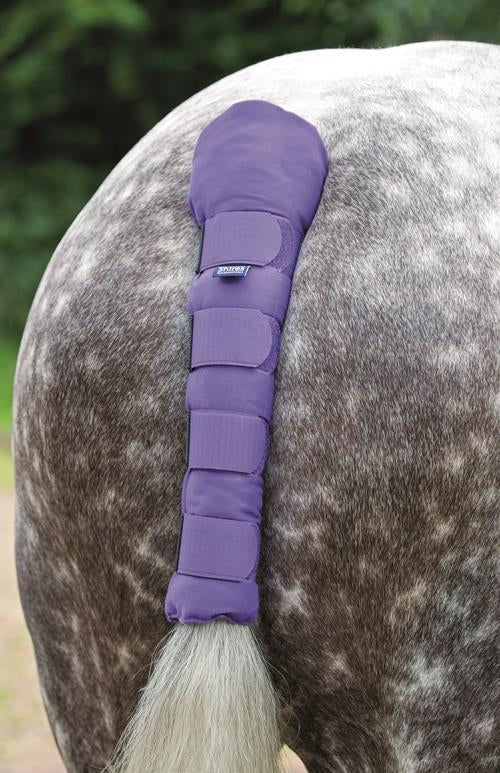 5-871420-purple.jpg