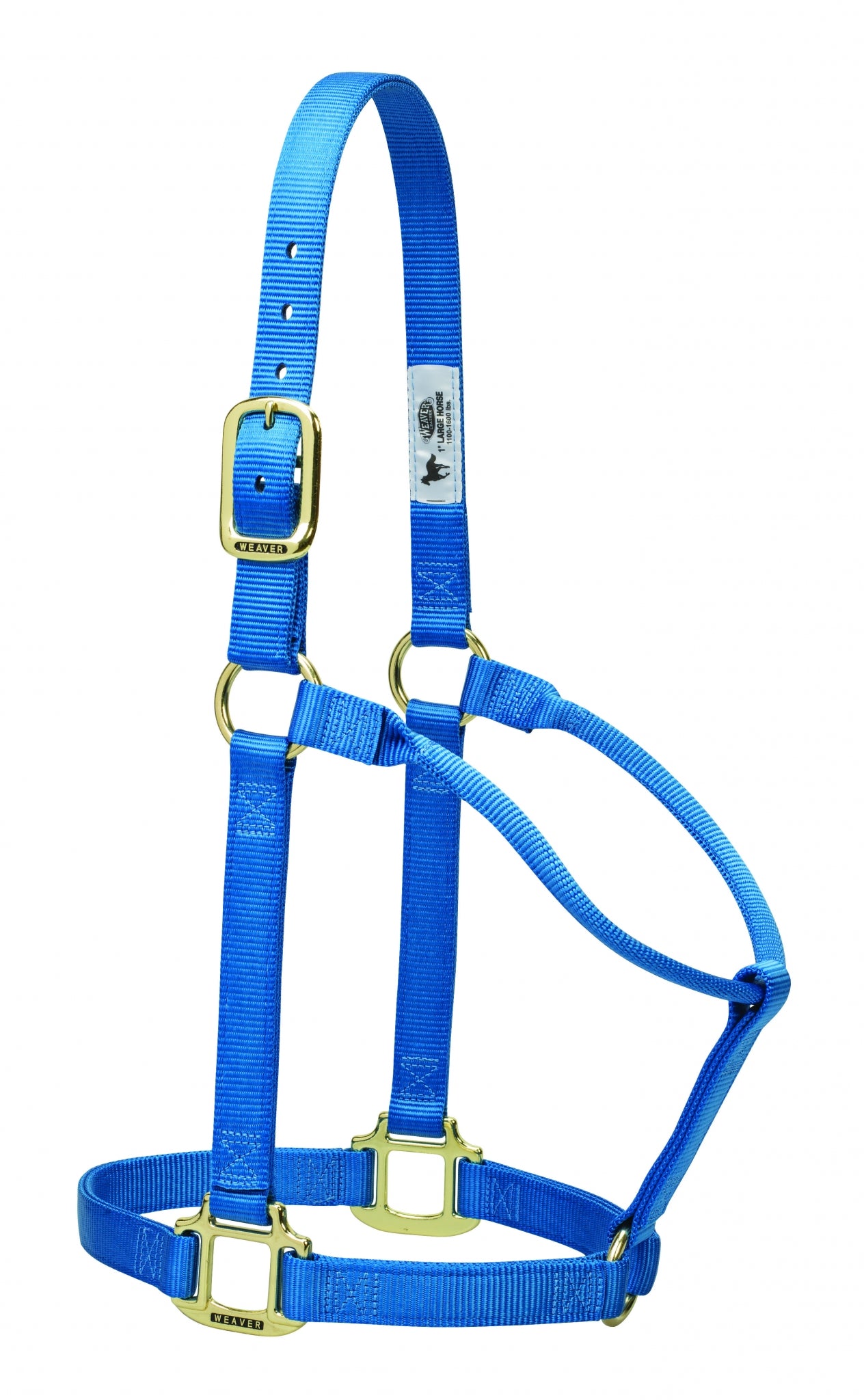 5-876004-frblue.jpg