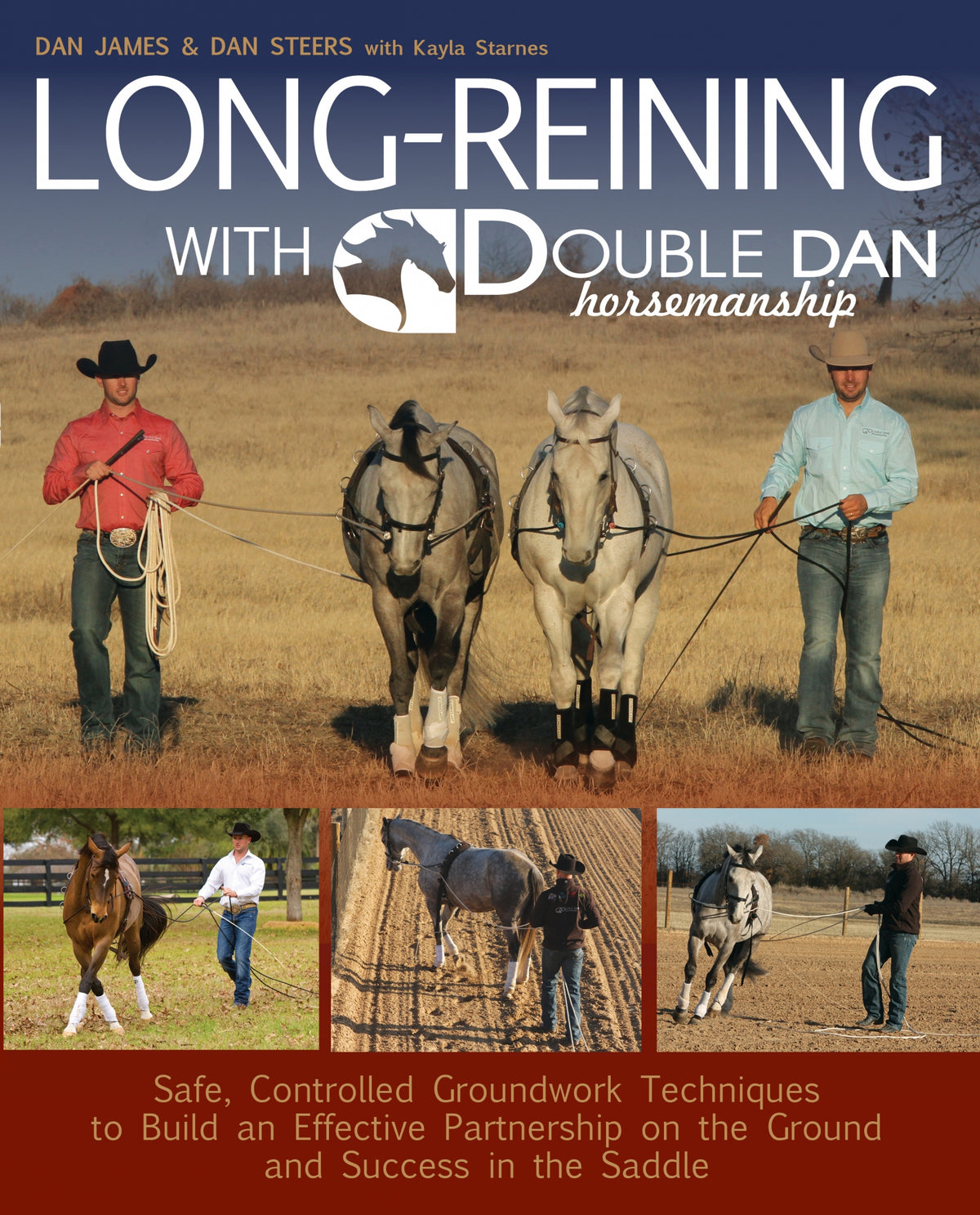 5-876472-longreiningwithdoubledan.jpg