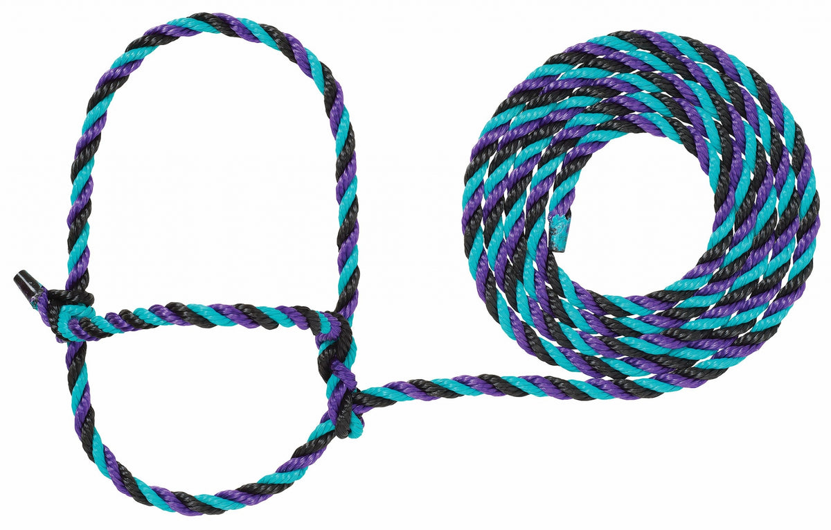 5-876980-01.jpg