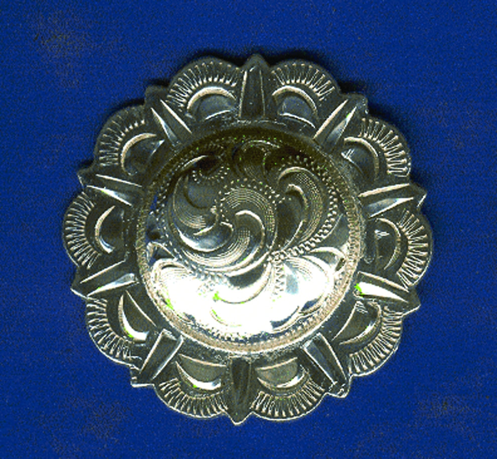 5-880110-conchascrewback.jpg