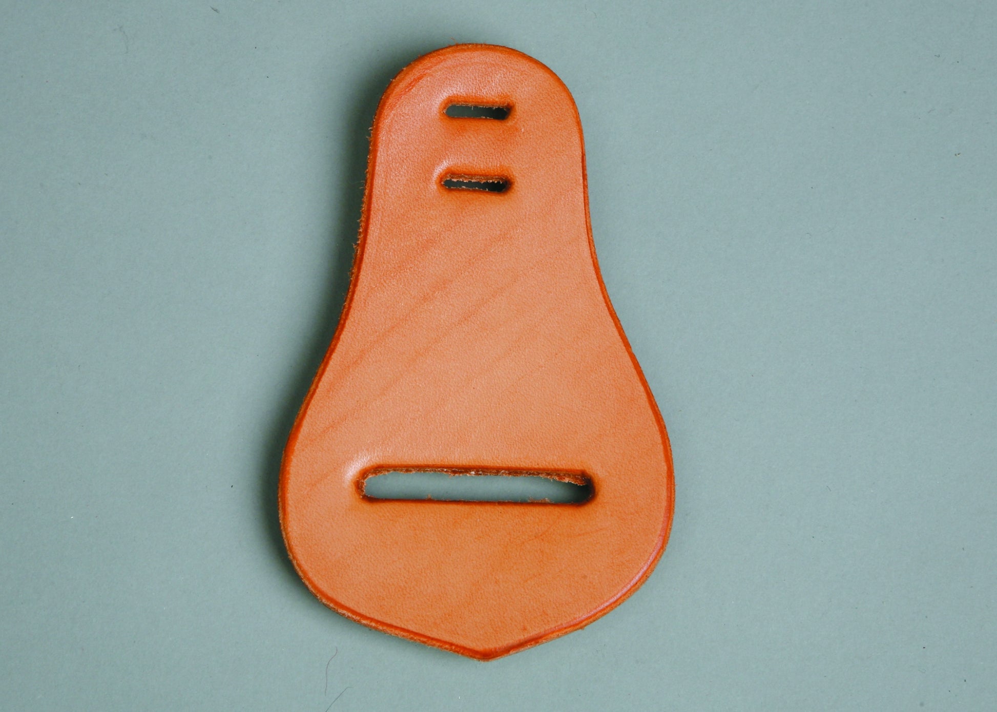5-880439-latigocarrier.jpg