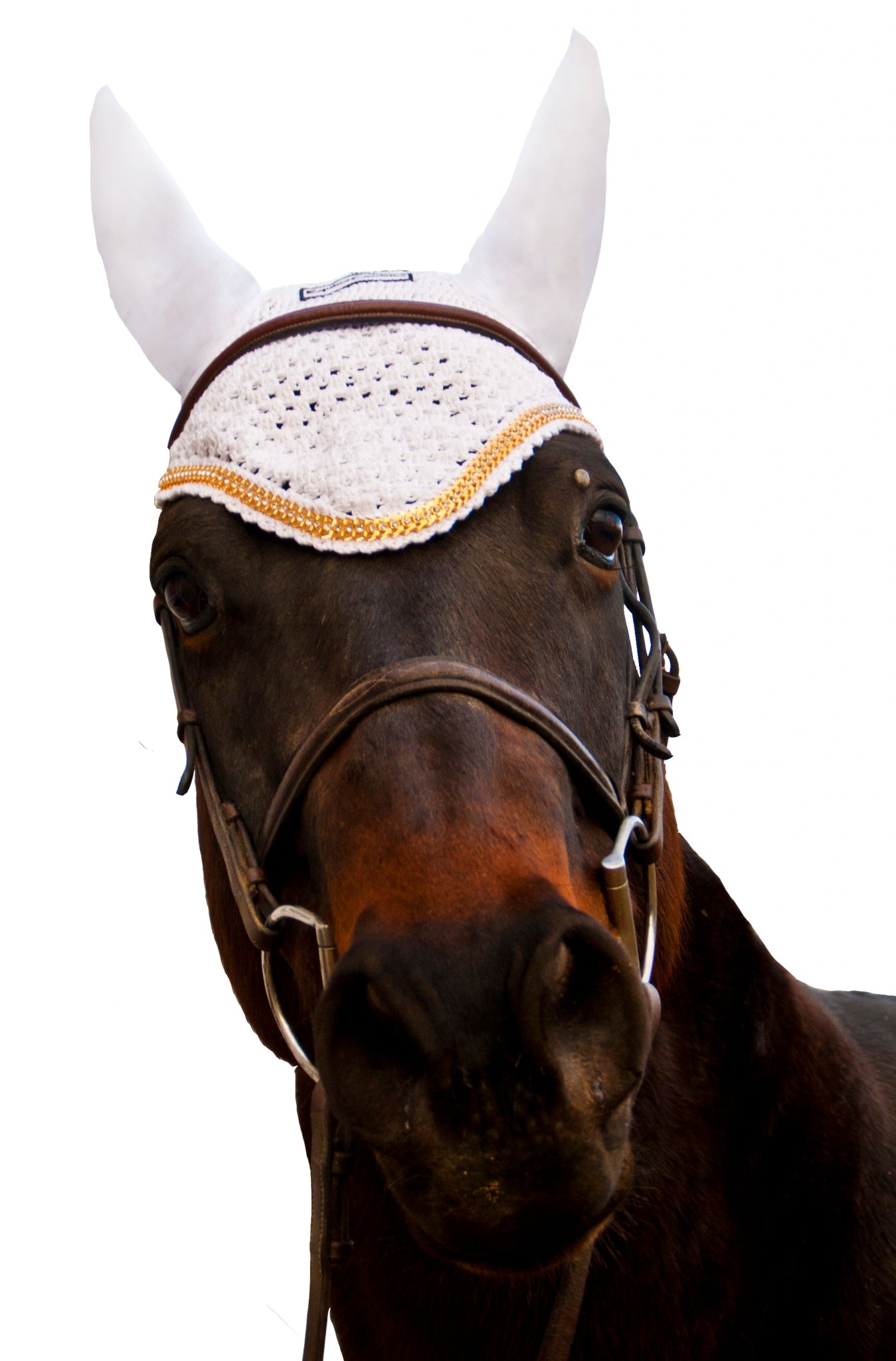 5-888650-white.jpg