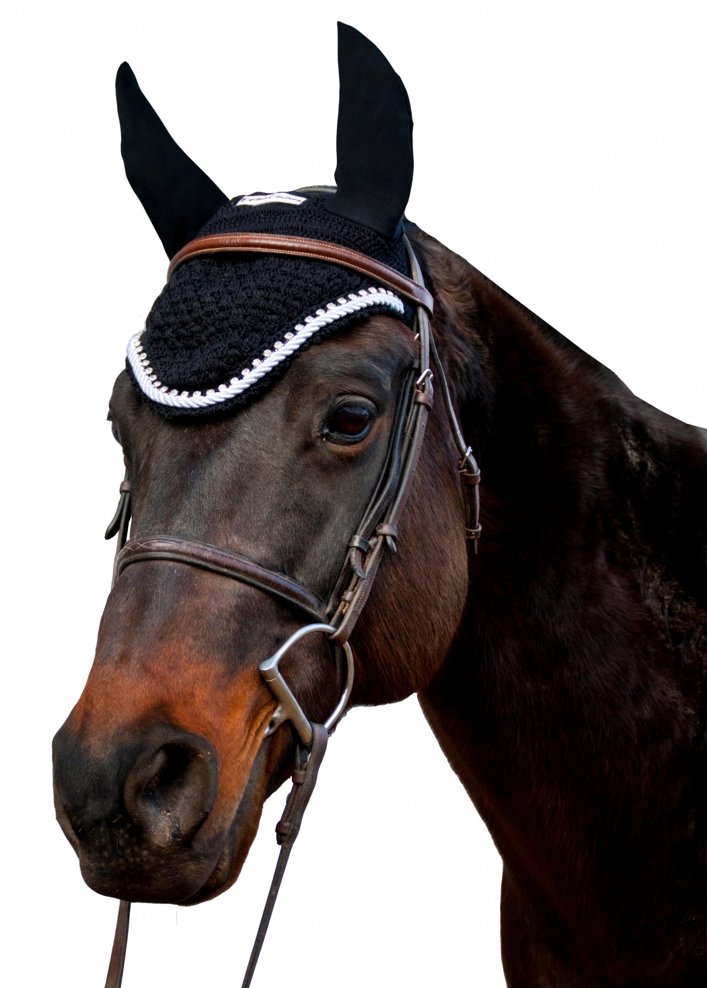 5-888662-black.jpg