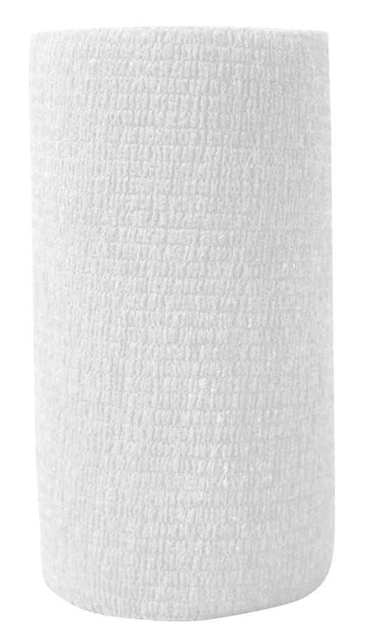 5-890485-white.jpg