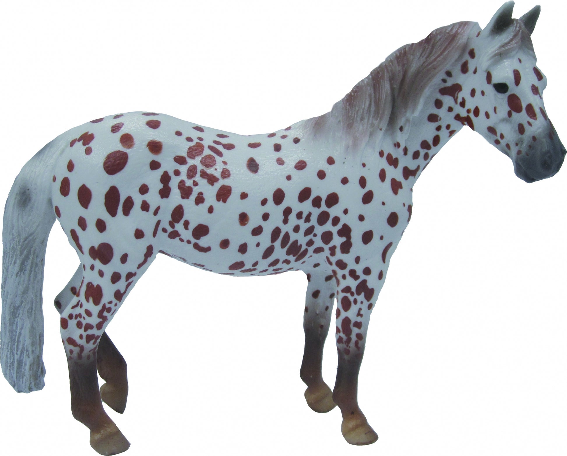 5-893741-spottedponymare.jpg