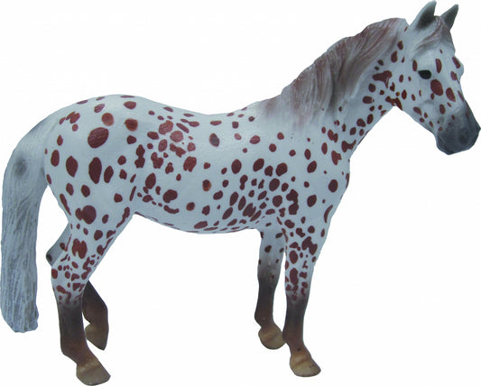 5-893741-spottedponymare.jpg