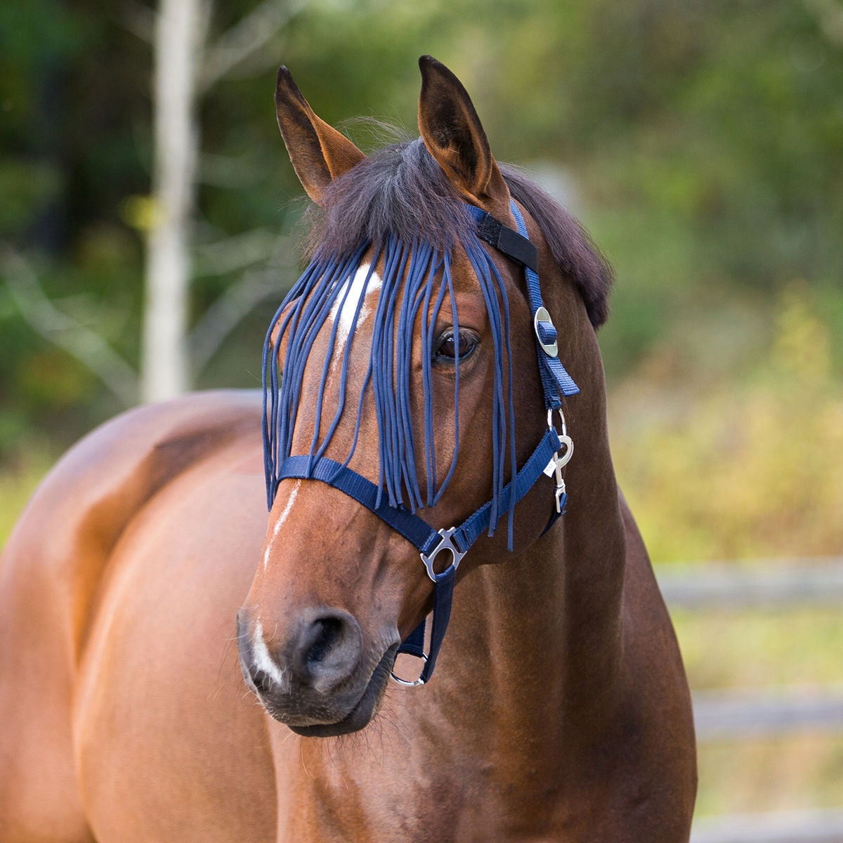5-915578-darkblue.jpg