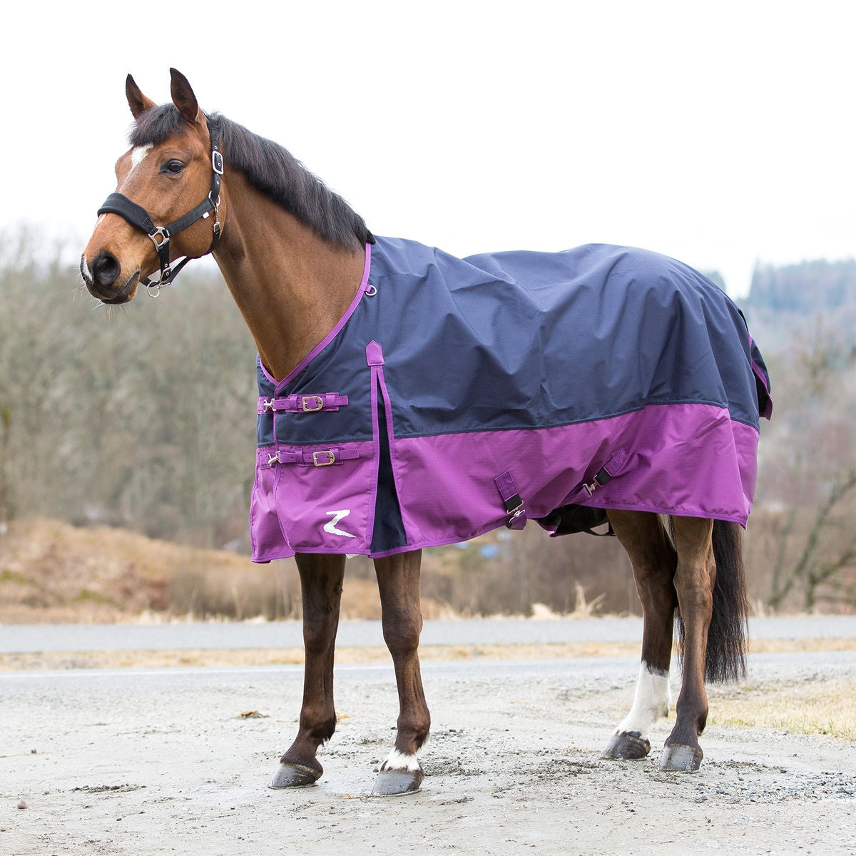 5-915602-darkbluevintageviolet.jpg