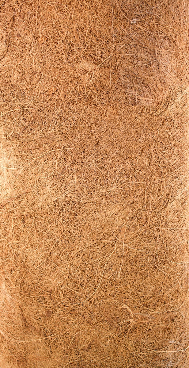 5-932122.jpg