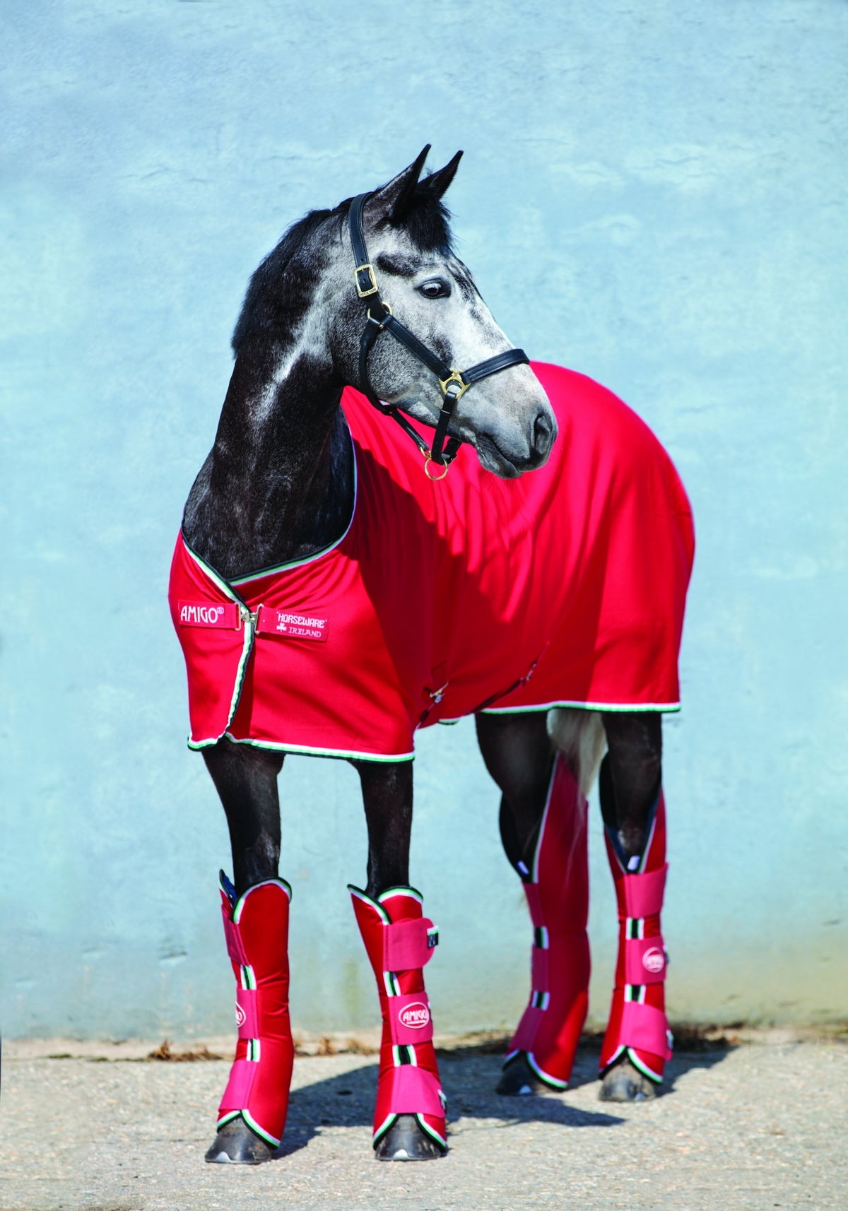5-941516-red.jpg