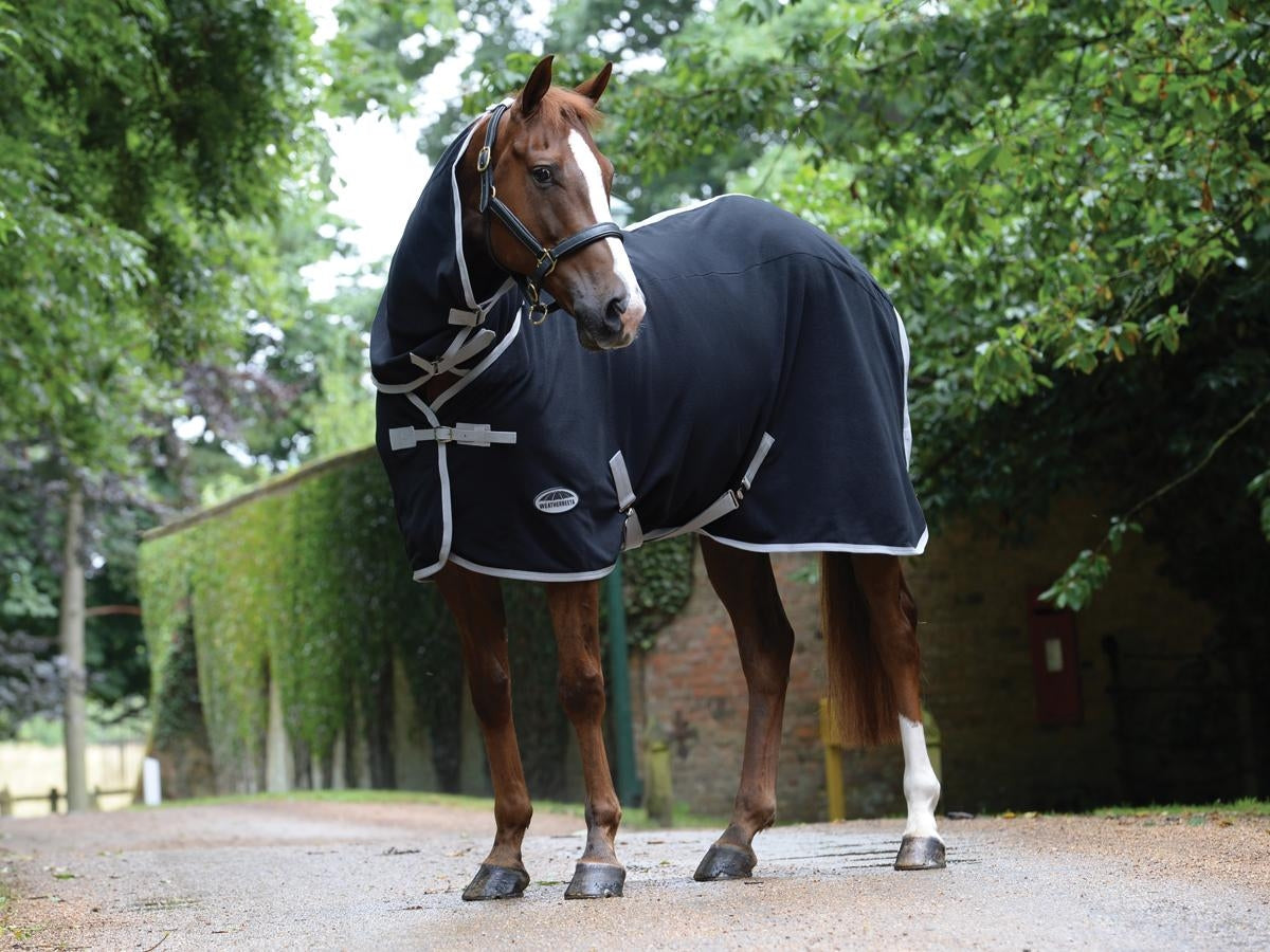 5-972197.jpg