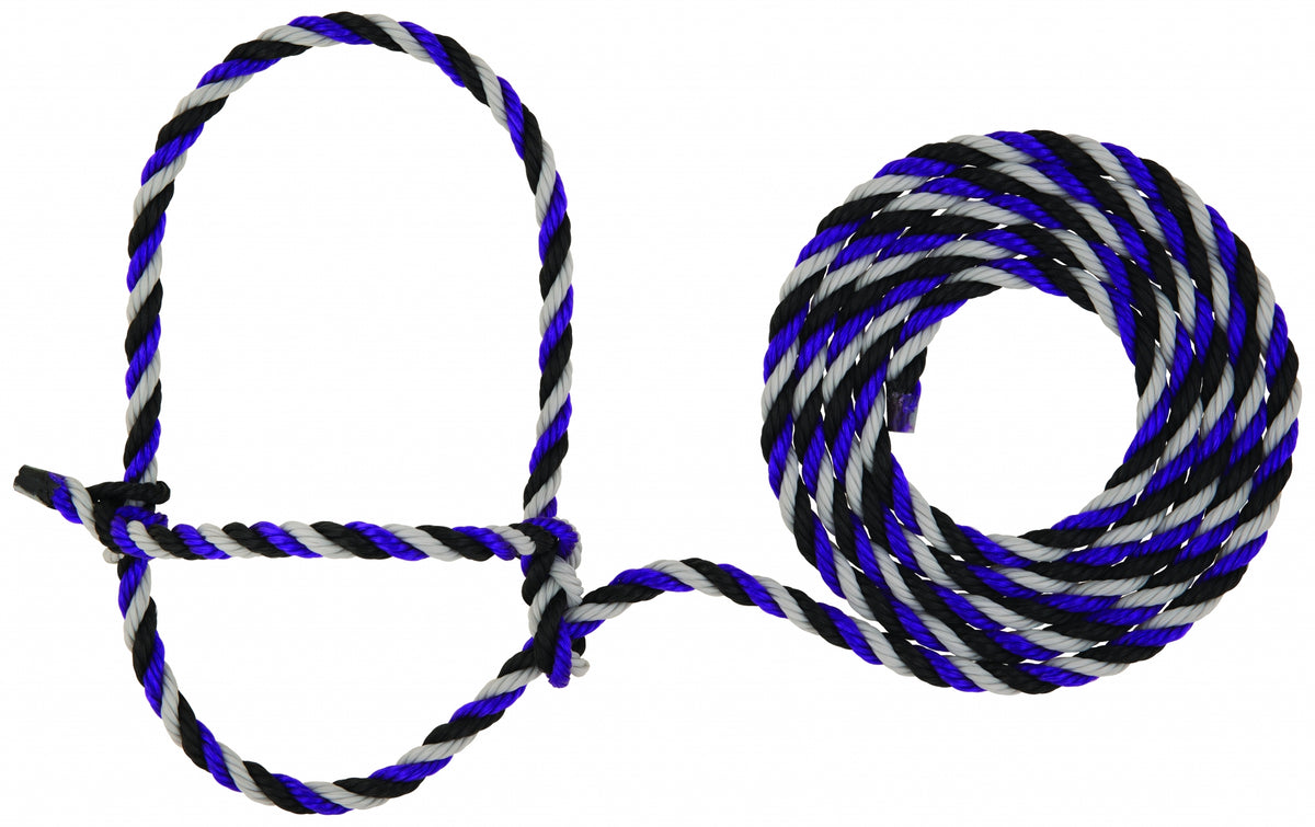 5-977691.jpg